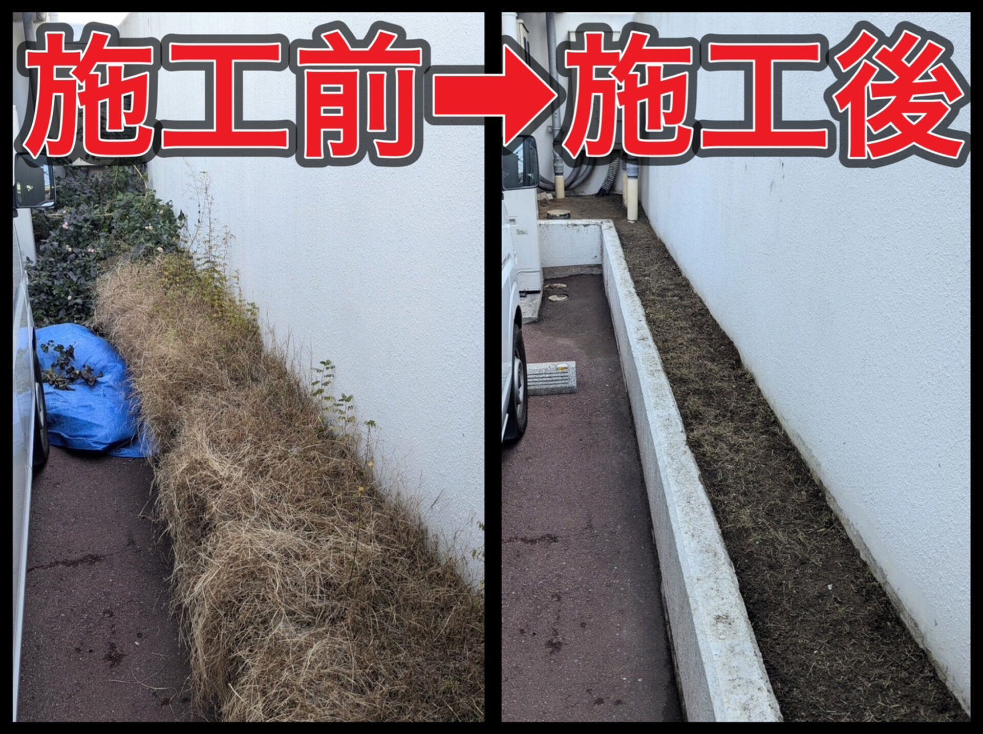 除草伐根作業