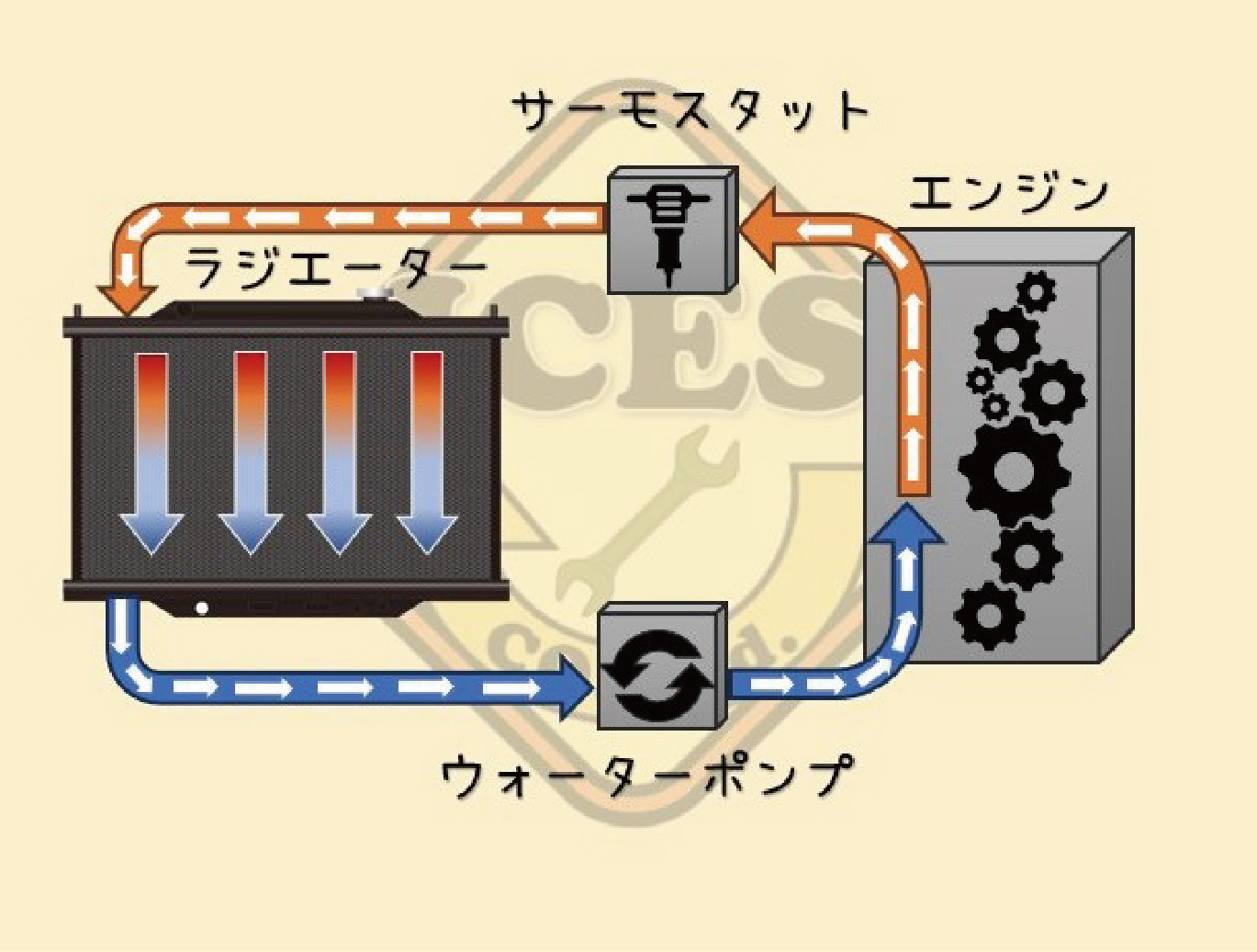 ウォーターポンプ交換