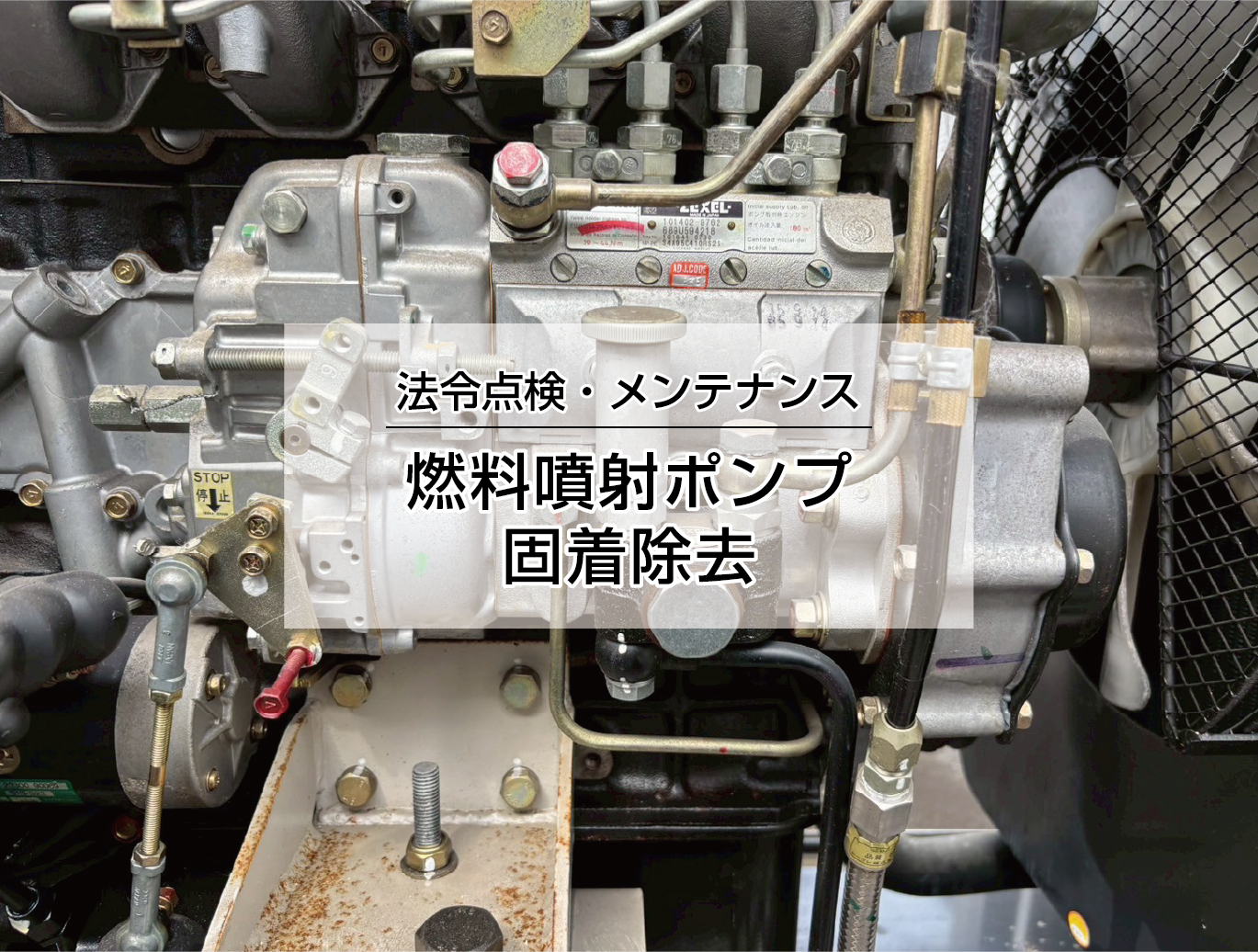 燃料噴射ポンプ固着除去