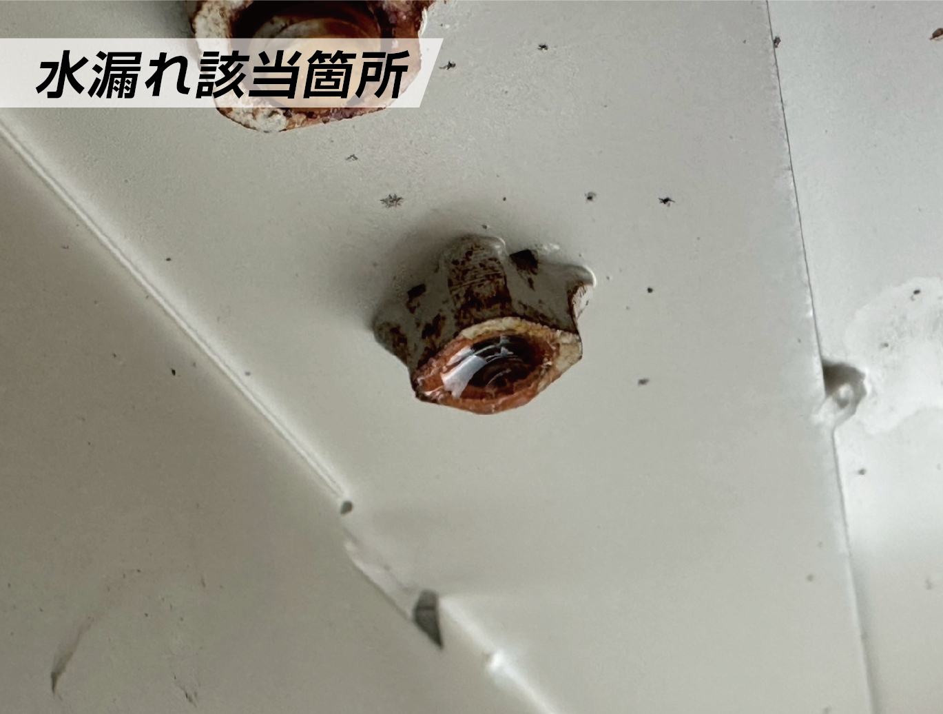水漏れ該当箇所